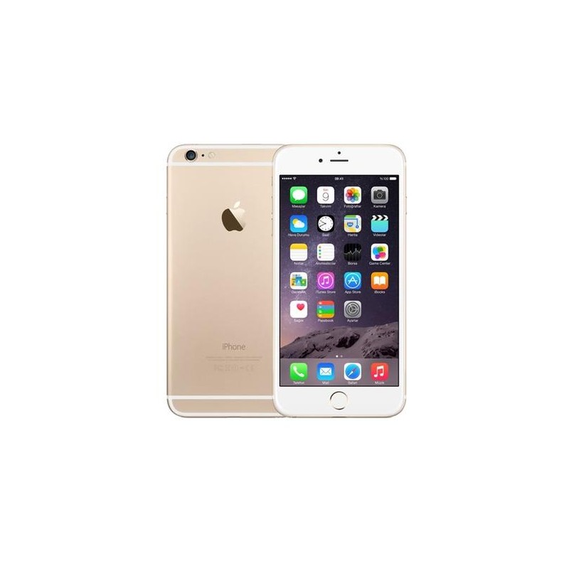 iPhone 6 64Gb Gold Usato G.A Garanzia 1 anno