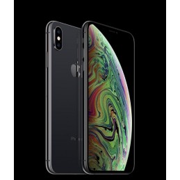 iPhone XS Max 256Gb Usato Grado A Garanzia 1 anno Nero